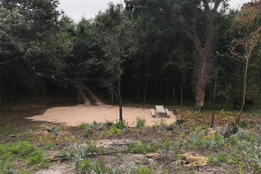 فيلا Casa Do Carvalhal - Quinta Do Soldado Alquerubim المظهر الخارجي الصورة
