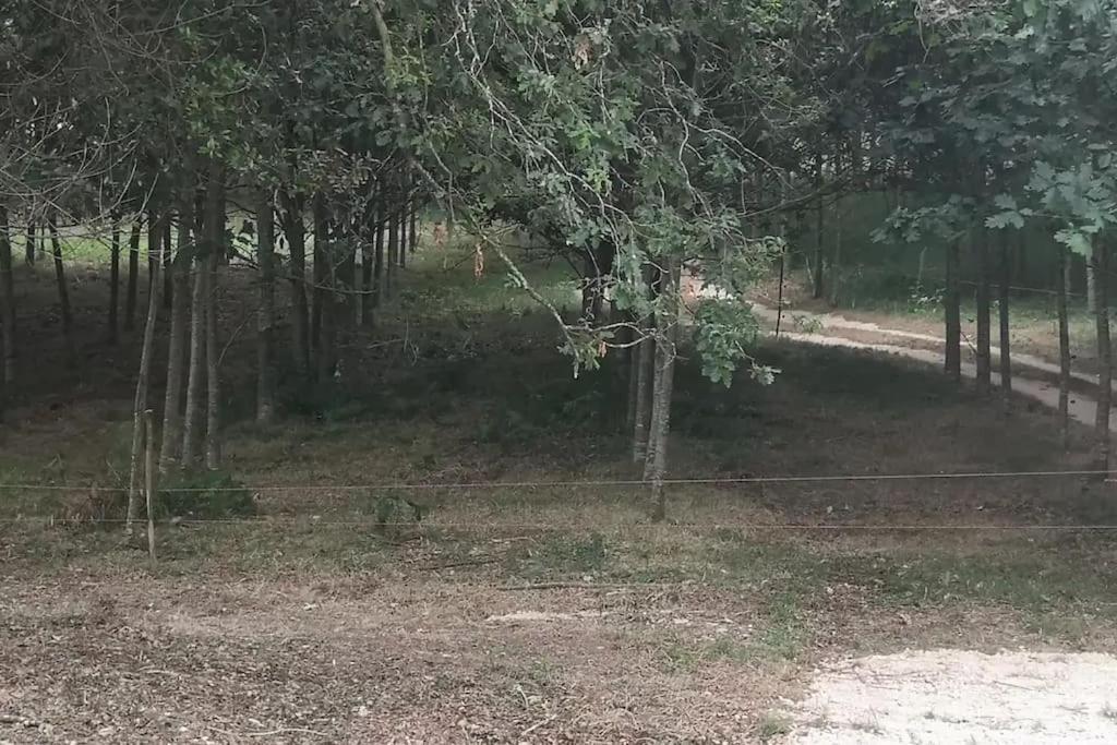فيلا Casa Do Carvalhal - Quinta Do Soldado Alquerubim المظهر الخارجي الصورة