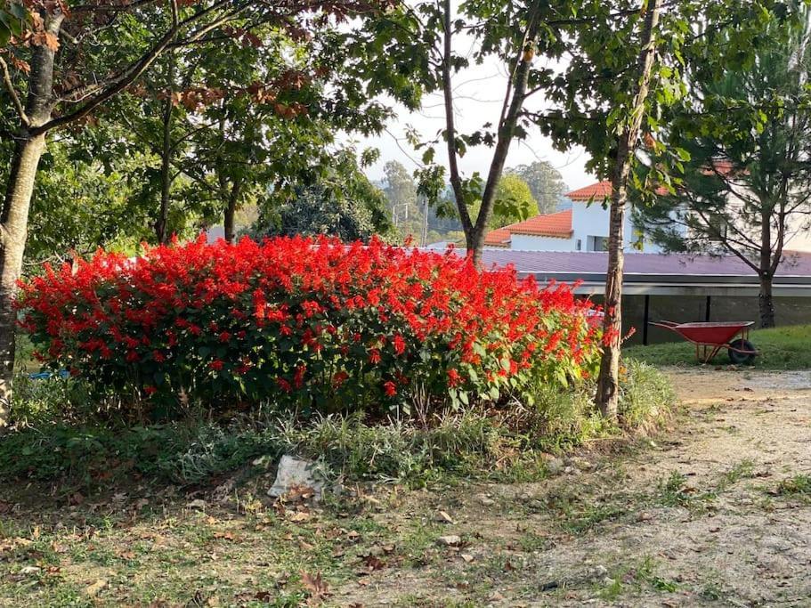 فيلا Casa Do Carvalhal - Quinta Do Soldado Alquerubim المظهر الخارجي الصورة