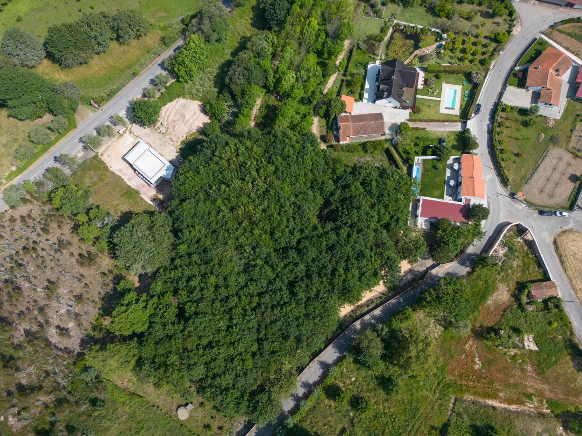 فيلا Casa Do Carvalhal - Quinta Do Soldado Alquerubim المظهر الخارجي الصورة